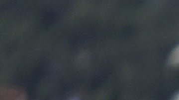 Ciudad de México, 10 de octubre de 2024. Raúl Jiménez y Obed Vargas, durante un entrenamiento de la Selección Nacional de México previo a sus partidos amistosos contra Valencia y Estados Unidos, celebrado en el Centro de Alto Rendimiento de la FMF. Foto: Imago7