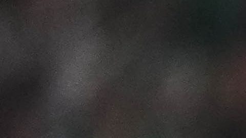 Raúl Jiménez festeja su gol a Estados Unidos.