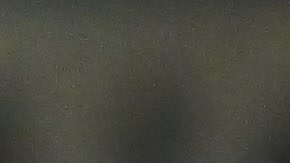 Ciudad de México. 26 de Octubre de 2024. Nathan Silva y Ángel Sepúlveda durante el partido correspondiente a la jornada 14 del torneo Apertura 2024 de la Liga BBVA MX, entre los Pumas de la UNAM y la Maquina Celeste del Cruz Azul, disputado en el estadio Olímpico Universitario. Foto: Imago7/Etzel Espinosa