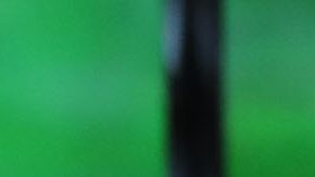 Sánchez pide limitar a cinco la cantidad de extranjeros dentro del campo.