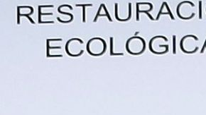 Irina Baeva Gabriel Soto