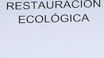 Irina Baeva Gabriel Soto