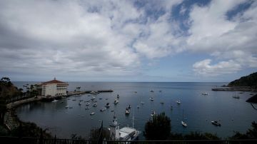 The nearly empty harbor is shown on Catalina Island in Avalon, Calif, Saturday, April 18, 2020, In the weeks that the city's normally bustling Avalon port has been closed due to the COVID-19 outbreak, Mayor Ann Marshall estimates the harbor alone has lost nearly $2 million in business. (AP Photo/Chris Carlson)