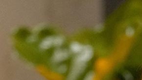 Jill Biden, primera dama de la nación