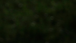 Collin Morikawa walks to the 18th tee during the second round of the Workday Charity Open golf tournament, Friday, July 10, 2020, in Dublin, Ohio. (AP Photo/Darron Cummings)