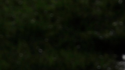 Collin Morikawa walks to the 18th tee during the second round of the Workday Charity Open golf tournament, Friday, July 10, 2020, in Dublin, Ohio. (AP Photo/Darron Cummings)