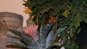 Novia de Julián Gil le envía mensaje Marjorie de Sousa