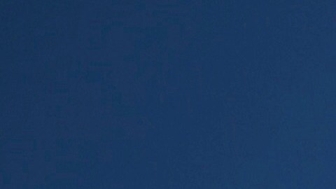 Harris se distancia del comentario de Biden que llamó "basura" a seguidores de Trump