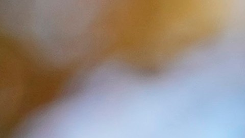 Kamala Harris es la candidata presidencial demócrata.