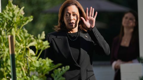 Kamala Harris responde a críticas republicanas por no tener hijos biológicos