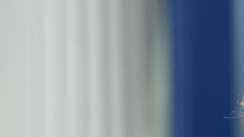 Karine Jean-Pierre, nueva asesora de Joe Biden