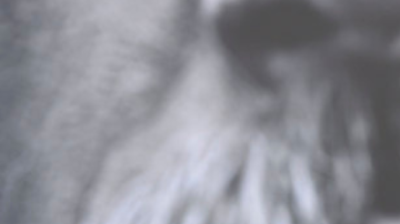 Marilyn Manson llega al estreno mundial de "King Arthur: Legend of the Sword" en el Teatro Chino TCL el lunes 8 de mayo de 2017, en Los Ángeles. (Foto de Chris Pizzello/Invision/AP)