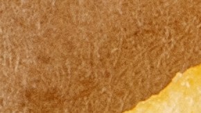 Lamb Weston, el mayor productor de patatas fritas en EE.UU.