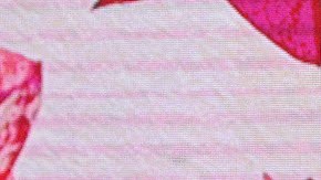 Laura Zapata defendió a Tommy Mottola tras de ser vinculado con Diddy