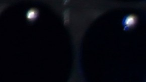 Liam Payne hijo Bear