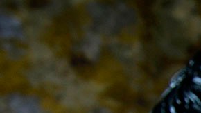 Máscaras de El Chapo