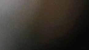 Donald Trump recomienda las memorias de su esposa Melania como regalo de Navidad