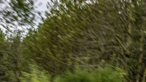 Mercedes-AMG One la Fórmula 1 llega a las calles