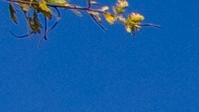 Microsoft paga $220,000 al año a trabajadores de cualquier parte del mundo