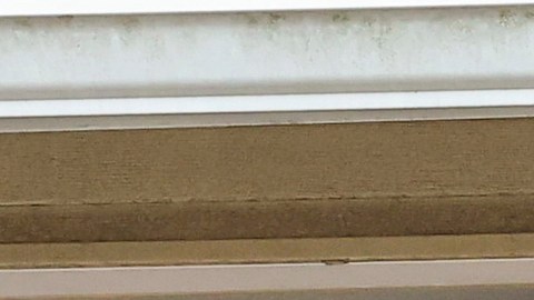 Huracán Milton podría dejar daños por valor de hasta $175,000 millones