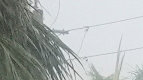 Centro y sur de Florida reportan 500,000 hogares sin energía