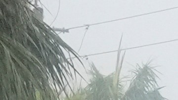 Centro y sur de Florida reportan 500,000 hogares sin energía