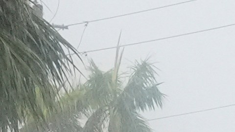 Centro y sur de Florida reportan 500,000 hogares sin energía