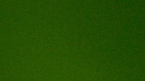 This 2006 photo provided by the Centers for Disease Control and Prevention shows a female Aedes aegypti mosquito in the process of acquiring a blood meal from a human host. Scientists believe the species originated in Africa, but came to the Americas on slave ships. It's continued to spread through shipping and airplanes. Now it's found through much of the world. (James Gathany/Centers for Disease Control and Prevention via AP)