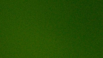 This 2006 photo provided by the Centers for Disease Control and Prevention shows a female Aedes aegypti mosquito in the process of acquiring a blood meal from a human host. Scientists believe the species originated in Africa, but came to the Americas on slave ships. It's continued to spread through shipping and airplanes. Now it's found through much of the world. (James Gathany/Centers for Disease Control and Prevention via AP)