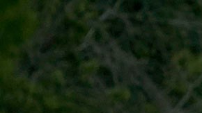 Muerte de migrantes en Texas