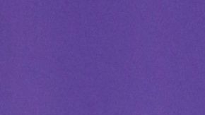 Nadia Ferreira Marc Anthony