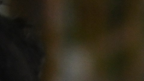 Así fue el recibimiento del padre de Liam Payne en Argentina