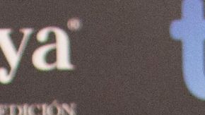 Paula Echevarría William Levy