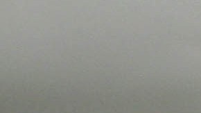 In this Oct. 20, 2010 picture, a dog trained to locate drugs looks on at the port of entry along the US-Mexico border in Calexico, Calif. (AP Photo/Gregory Bull)