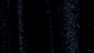 Peso Pluma protagoniza campaña de Yves Saint Laurent