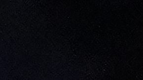 Rayo Valenzuela y Pitbull Cruz