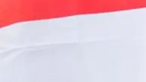 Los habitantes de Puerto Rico no pueden votar por el presidente aunque sean estadounidenses.