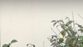 El fiscal Rob Bonta (c) anuncia la demanda.