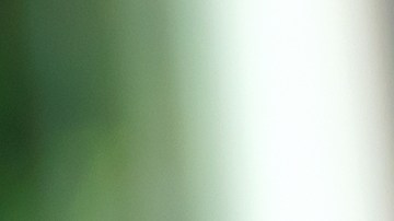 El negocio publicitario de Reddit generó cientos de millones de dólares durante el último trimestre