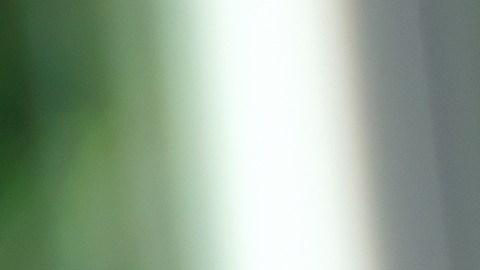 El negocio publicitario de Reddit generó cientos de millones de dólares durante el último trimestre