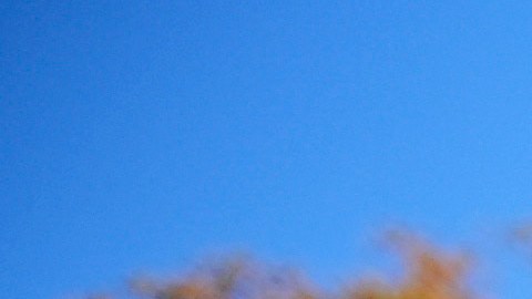 Republicanos anti Trump arrancan tour por estados clave para apoyar a Harris