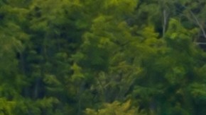 Rochester, Nueva York