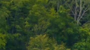 Rochester, Nueva York