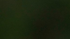 Biden viajó a Florida el jueves para supervisar el daño causado por Helene y no se reunió con DeSantis.