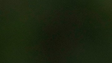 Biden viajó a Florida el jueves para supervisar el daño causado por Helene y no se reunió con DeSantis.