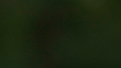 Biden viajó a Florida el jueves para supervisar el daño causado por Helene y no se reunió con DeSantis.