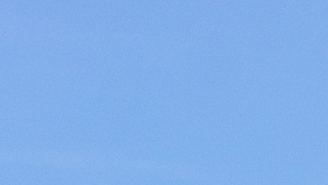 Los 4 artículos que recomiendan no comprar en Sam´s Club