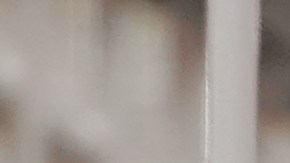 6 artículos de Sam's Club: puedes congelarlos y ahorrar por meses