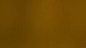 Arnold Schwarzenegger, actor de Hollywood