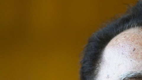 Arnold Schwarzenegger, actor de Hollywood